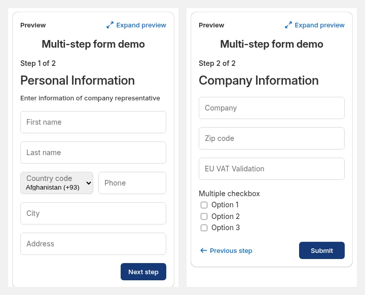 Preview of a two-step form: Personal Information on step 1, Company Information on step 2