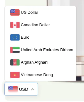 Currency switcher open on the storefront, listing US Dollar, Canadian Dollar, Euro and other currencies